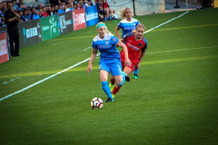 开云体育在线登入-中国篮球职业联赛俱乐部财务风险管理，篮球俱乐部财务制度