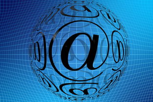 开云网页版登录入口-中国篮球职业联赛市场营销创新与效果评估，篮球赛事营销策划