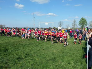 开云体育登陆入口-中国篮球青少年篮球发展政策影响分析，中国青少年篮球的发展方向