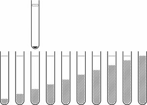 开云官网-篮球专项体能训练负荷管理及科学评估，篮球专项体能的训练方法及个人锻炼目标